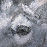 Animal Portrait IV by Mercana Studio a Hand Embellished Textured Canvas by Mercana at Eve Furniture