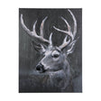 Animal Portrait IV by Mercana Studio a Hand Embellished Textured Canvas by Mercana at Eve Furniture