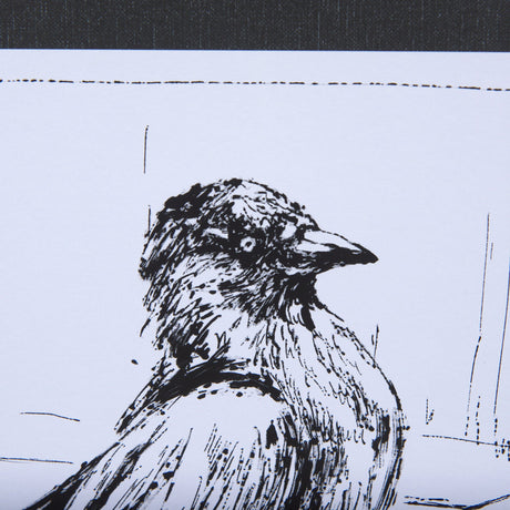Animal Talk III by Mercana Studio a Framed Art Print Matted under Glass by Mercana at Eve Furniture