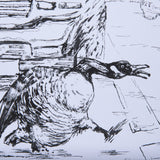 Animal Talk IV by Mercana Studio a Framed Art Print Matted under Glass by Mercana at Eve Furniture