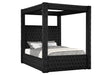 Annabelle Black Velvet Queen Canopy Bed [Limited Stock] by Crown Mark at Eve Furniture