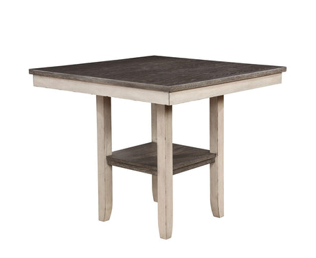 Ann Antique White/Gray 5-Piece Counter Ht. Table Set by Furniture of America at Eve Furniture