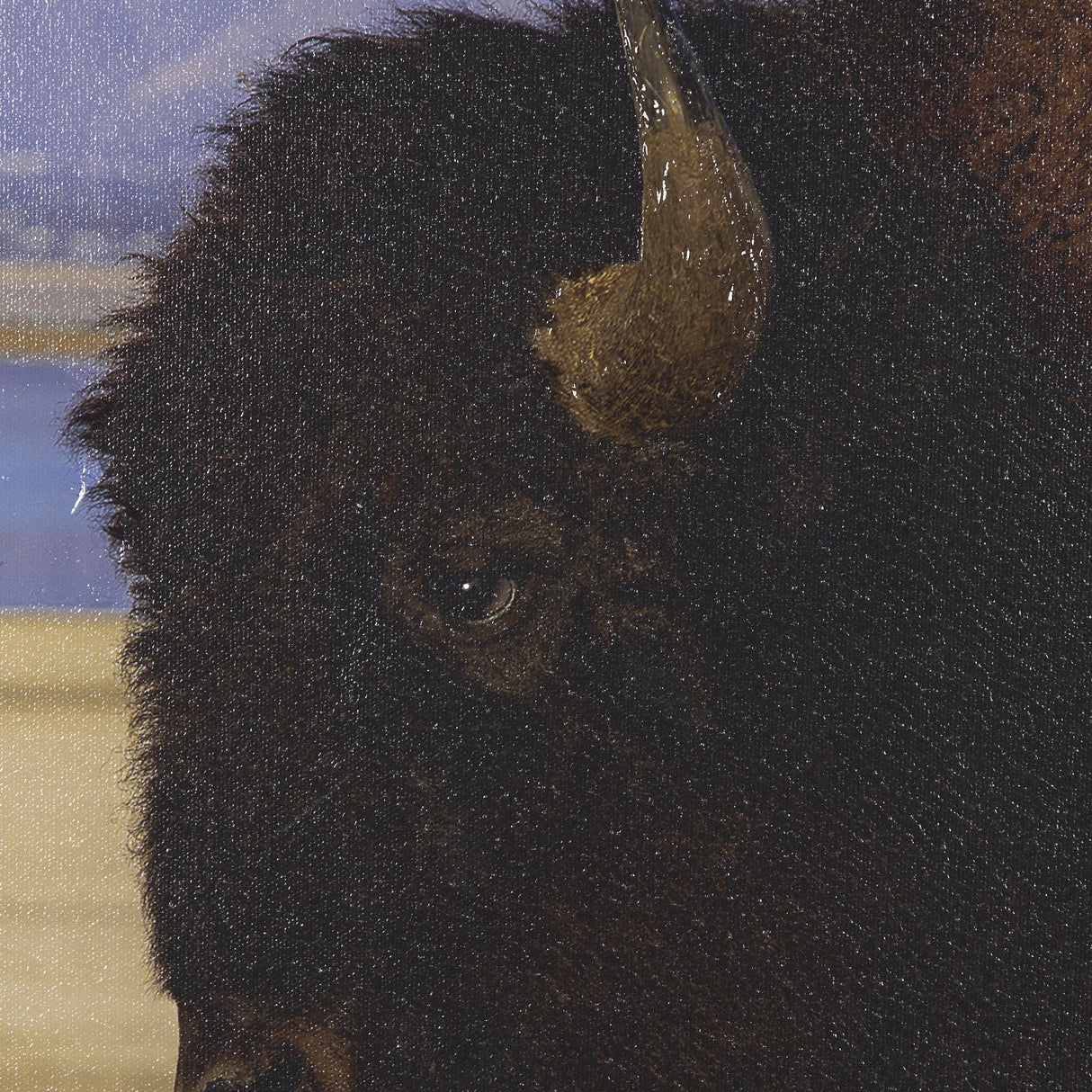 Antelope Island by Gary Blatter a Hand Embellished Textured Framed Photo Art Print by Mercana at Eve Furniture