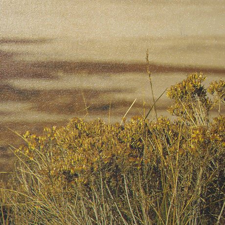 Antelope Island by Gary Blatter a Hand Embellished Textured Framed Photo Art Print by Mercana at Eve Furniture