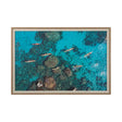 Anthony Quinn Bay by Michele Falzone a Hand Embellished Textured Framed Photo Art Print Matted under by Mercana at Eve Furniture