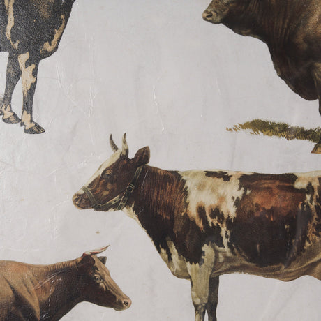 Antique Cow Chart by Mercana Studio a Framed Art Print Matted under Glass by Mercana at Eve Furniture