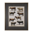 Antique Cow Chart by Mercana Studio a Framed Art Print Matted under Glass by Mercana at Eve Furniture