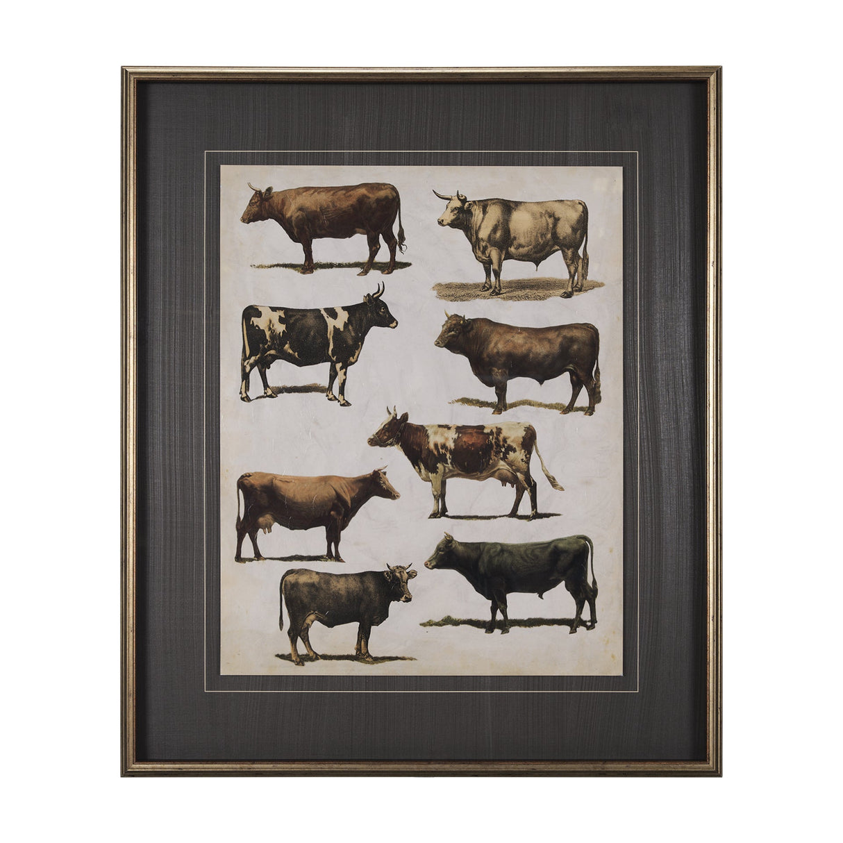 Antique Cow Chart by Mercana Studio a Framed Art Print Matted under Glass by Mercana at Eve Furniture