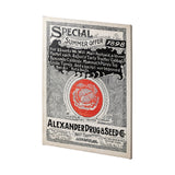 Antique Seed Packet XIIII by Mercana Studio a Hand Embellished Textured Canvas by Mercana at Eve Furniture