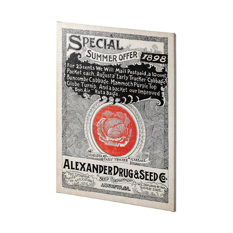 Antique Seed Packet XIIII by Mercana Studio a Hand Embellished Textured Canvas by Mercana at Eve Furniture