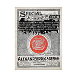 Antique Seed Packet XIIII by Mercana Studio a Hand Embellished Textured Canvas by Mercana at Eve Furniture