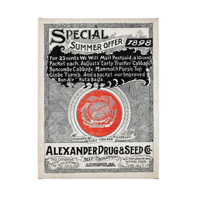 Antique Seed Packet XIIII by Mercana Studio a Hand Embellished Textured Canvas by Mercana at Eve Furniture