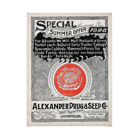 Antique Seed Packet XIIII by Mercana Studio a Hand Embellished Textured Canvas by Mercana at Eve Furniture