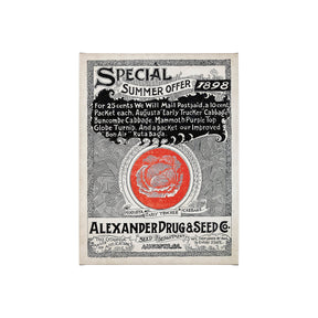 Antique Seed Packet XIIII by Mercana Studio a Hand Embellished Textured Canvas by Mercana at Eve Furniture