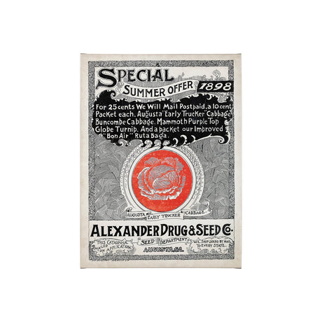 Antique Seed Packet XIIII by Mercana Studio a Hand Embellished Textured Canvas by Mercana at Eve Furniture