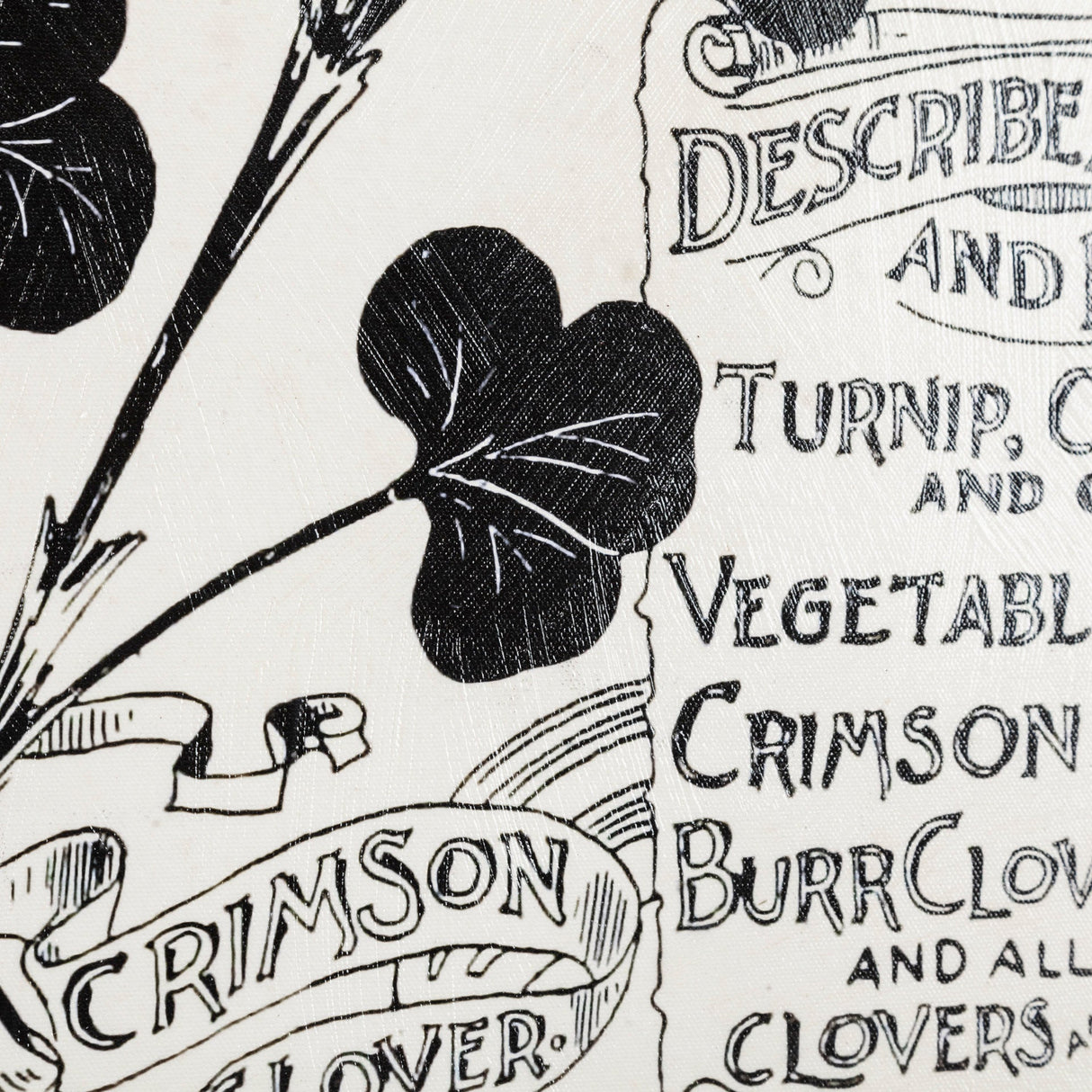Antique Seed Packet XIV by Mercana Studio a Hand Embellished Textured Canvas by Mercana at Eve Furniture