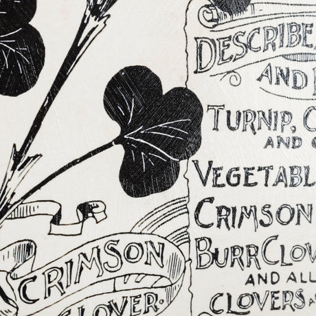 Antique Seed Packet XIV by Mercana Studio a Hand Embellished Textured Canvas by Mercana at Eve Furniture