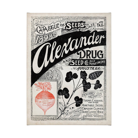 Antique Seed Packet XIV by Mercana Studio a Hand Embellished Textured Canvas by Mercana at Eve Furniture
