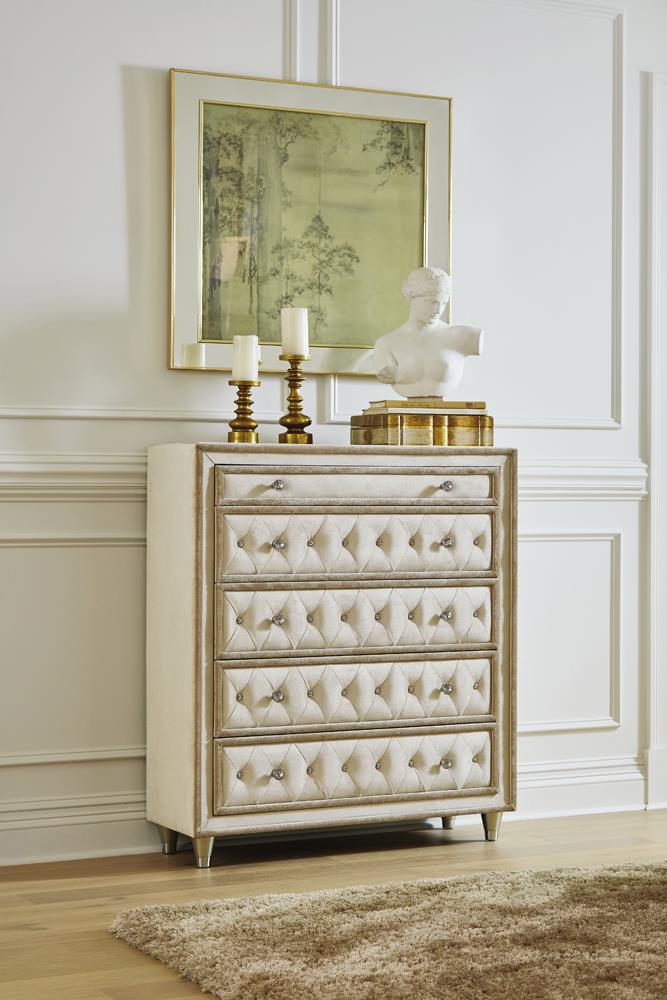 Antonella Ivory/Camel 5-Drawer Upholstered Chest