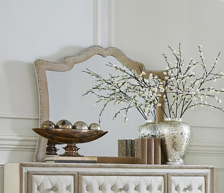 Antonella Camel Mirror with Nailhead Trim by Coaster at Eve Furniture