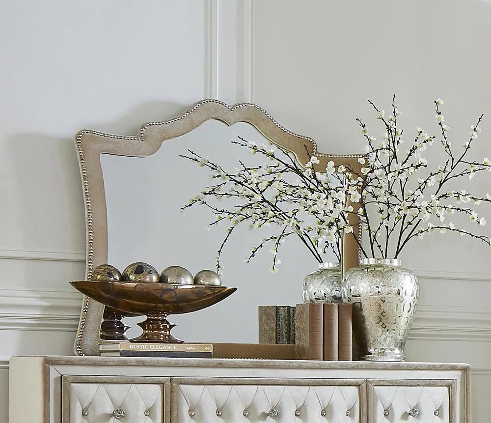 Antonella Camel Mirror with Nailhead Trim by Coaster at Eve Furniture