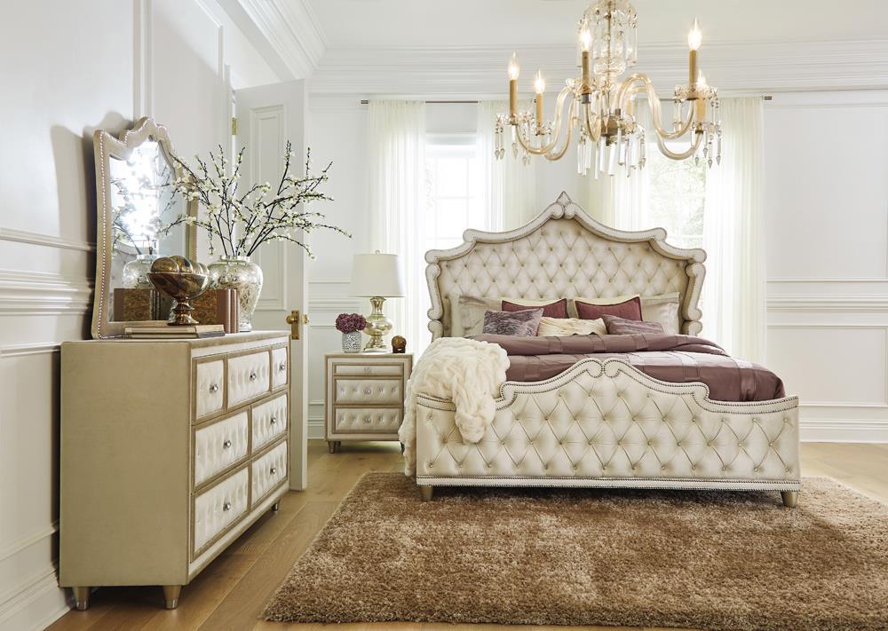 Antonella Ivory and Camel Tufted Upholstered Eastern King Bed by Coaster at Eve Furniture
