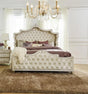 Antonella Ivory and Camel Tufted Upholstered Eastern King Bed by Coaster at Eve Furniture
