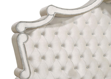 Antonella Ivory/Camel 4-Piece Upholstered Tufted Queen Bedroom Set by Coaster at Eve Furniture