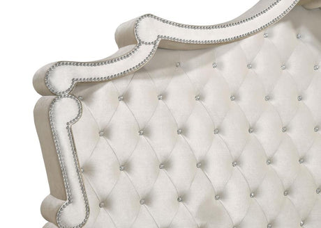 Antonella Ivory/Camel 5-Piece Upholstered Tufted Queen Bedroom Set by Coaster at Eve Furniture