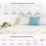 Anula Green Tea Infused Memory Foam Mattress by NapQueen at Eve Furniture