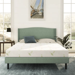 Anula Green Tea Infused Memory Foam Mattress by NapQueen at Eve Furniture