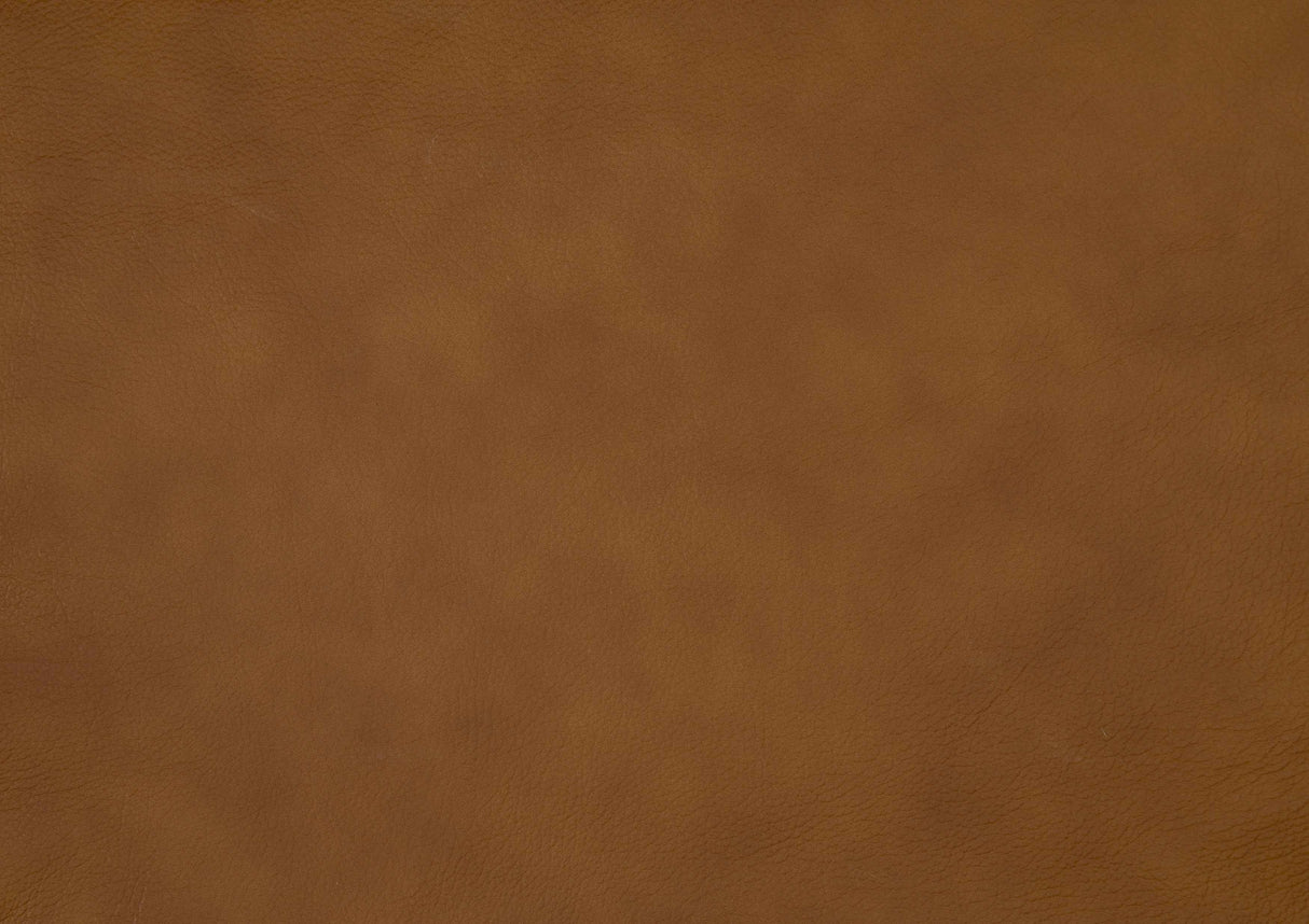Apex Brown Leather Power Double Reclining Sofa by Homelegance at Eve Furniture