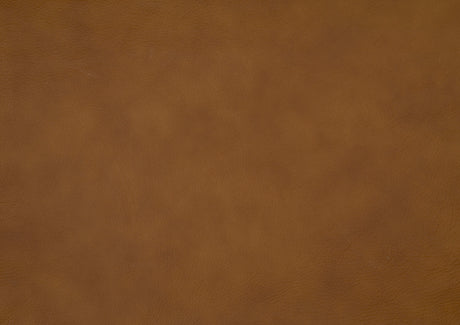 Apex Brown Power Reclining Living Room Set by Homelegance at Eve Furniture