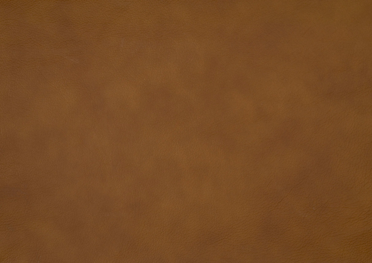 Apex Brown Power Reclining Living Room Set by Homelegance at Eve Furniture