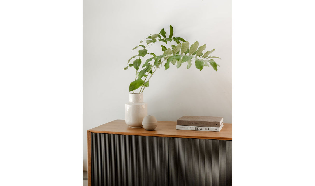 Araya Sideboard Brown by Moe's Home at Eve Furniture