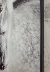 Archerwick Black/White Wall Art by Ashley at Eve Furniture