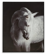 Archerwick Black/White Wall Art by Ashley at Eve Furniture