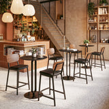 Ardenne Black & Brown Counter Stool (Set of 2) by Zuomod at Eve Furniture
