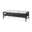 Arelius 42"L Rectangular Glass-Top Black-Brown Wood w/ Black Metal Base Display Coffee Table by Mercana at Eve Furniture