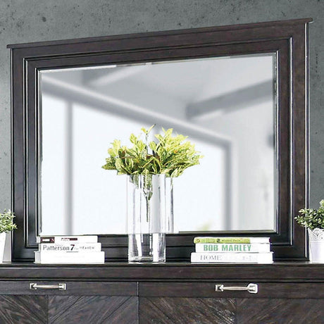 Argyros Espresso Mirror by Furniture of America at Eve Furniture