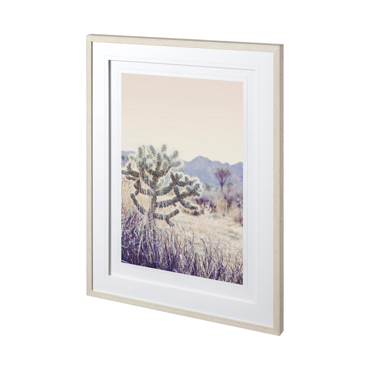 Arid Rose by Irene Suchocki a Hand Embellished Textured Framed Art Photograph Matted under Glass by Mercana at Eve Furniture