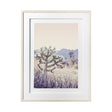 Arid Rose by Irene Suchocki a Hand Embellished Textured Framed Art Photograph Matted under Glass by Mercana at Eve Furniture