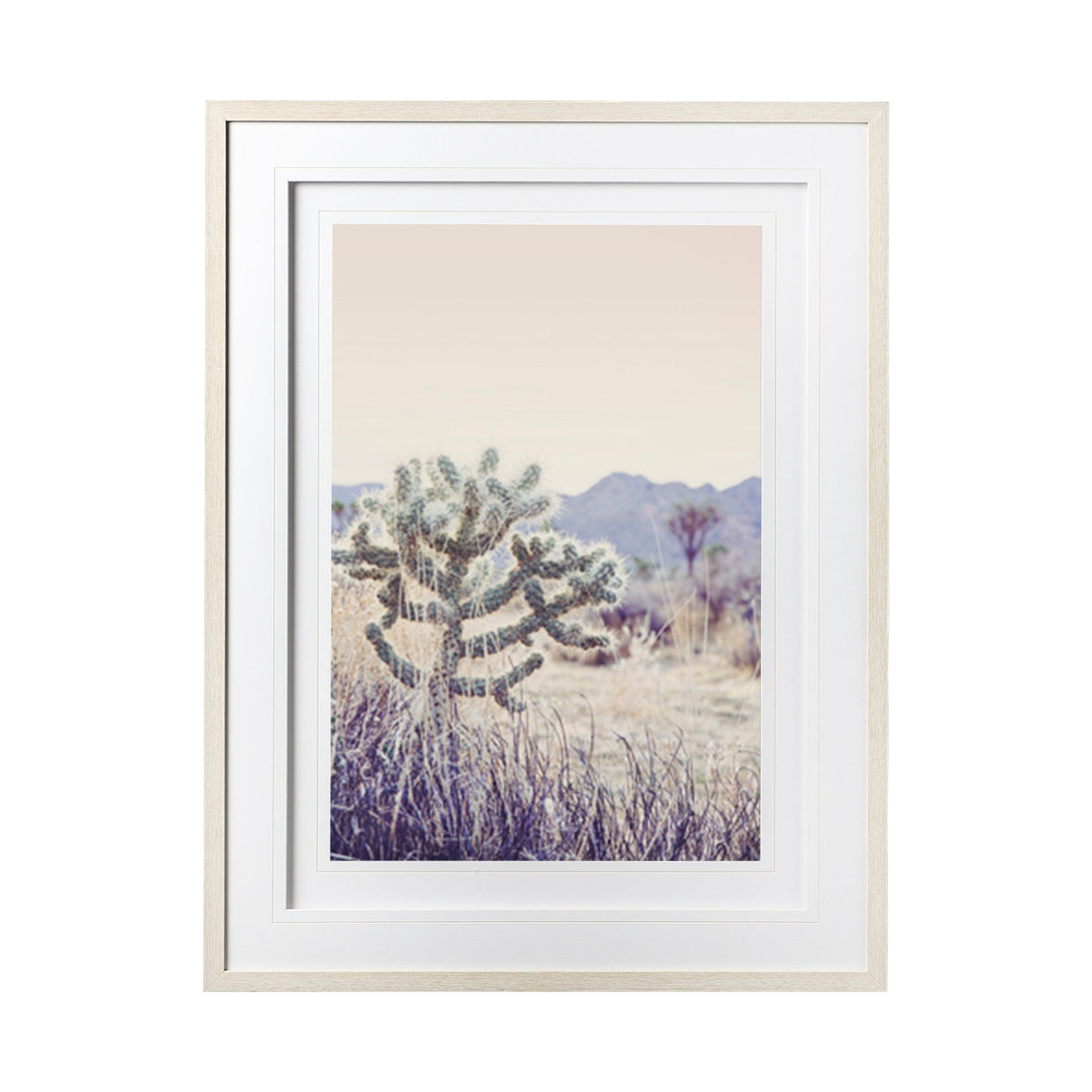 Arid Rose by Irene Suchocki a Hand Embellished Textured Framed Art Photograph Matted under Glass by Mercana at Eve Furniture