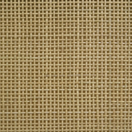 Arini Black and Natural Queen Bed with Woven Rattan Headboard by Coaster at Eve Furniture