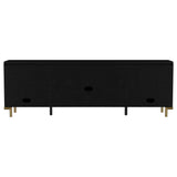 Arini Black Rattan Cane 2-Door TV Stand Media Console by Coaster at Eve Furniture