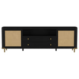 Arini Black Rattan Cane 2-Door TV Stand Media Console by Coaster at Eve Furniture