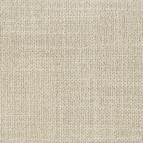 Arini Cream and Sand Wash Queen Panel Bed by Coaster at Eve Furniture