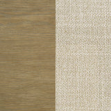 Arini Cream and Sand Wash Queen Panel Bed by Coaster at Eve Furniture