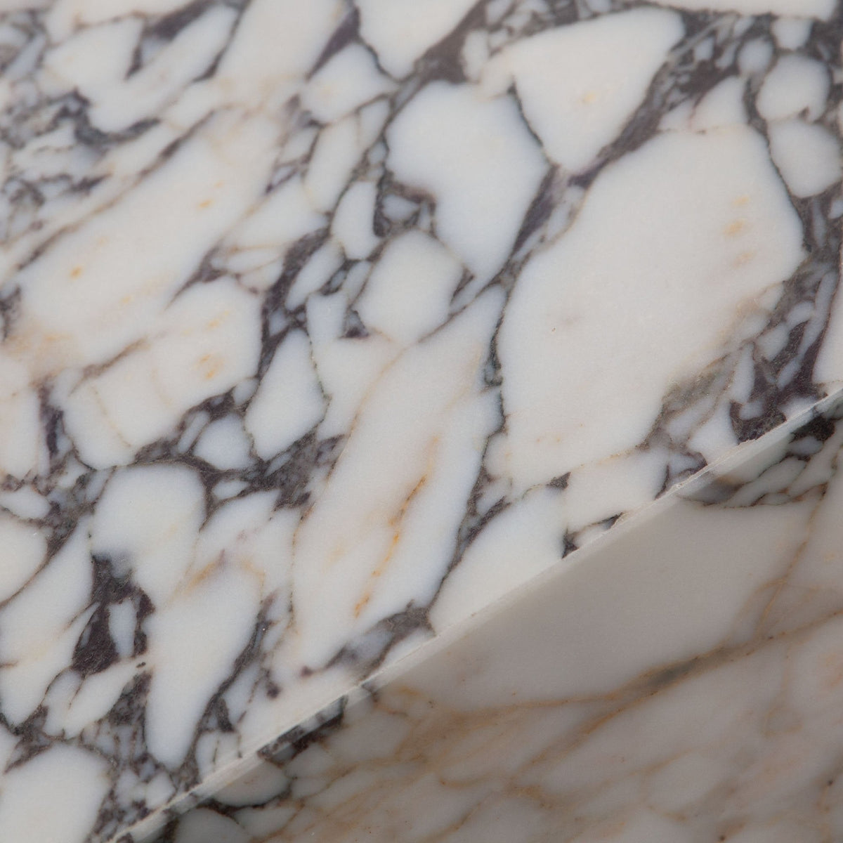 Ark Viola Marble Coffee Table by Diamond Sofa at Eve Furniture
