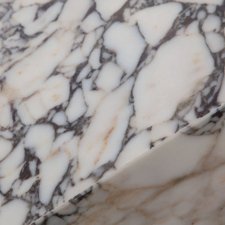 Ark Viola Marble Coffee Table by Diamond Sofa at Eve Furniture